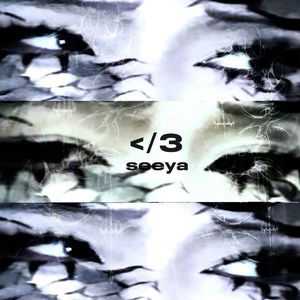 窝窝午夜看片七次郎青草视频
