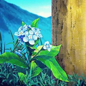 窝窝午夜看片七次郎青草视频
